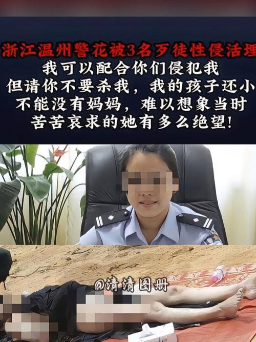 一级阿v老司机影院的相关介绍