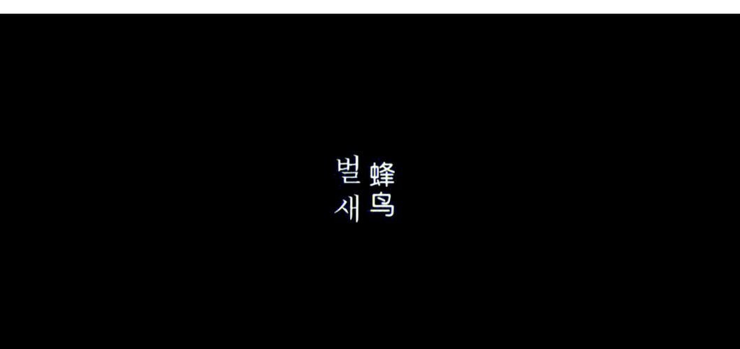 光棍影院在全线手机免费观看的相关介绍