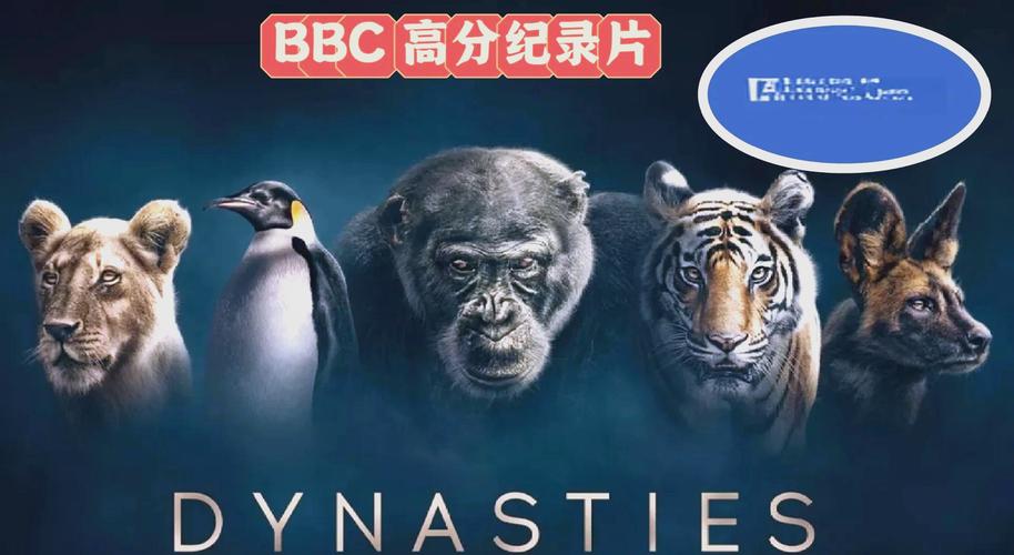 无敌影院免费观看的相关介绍