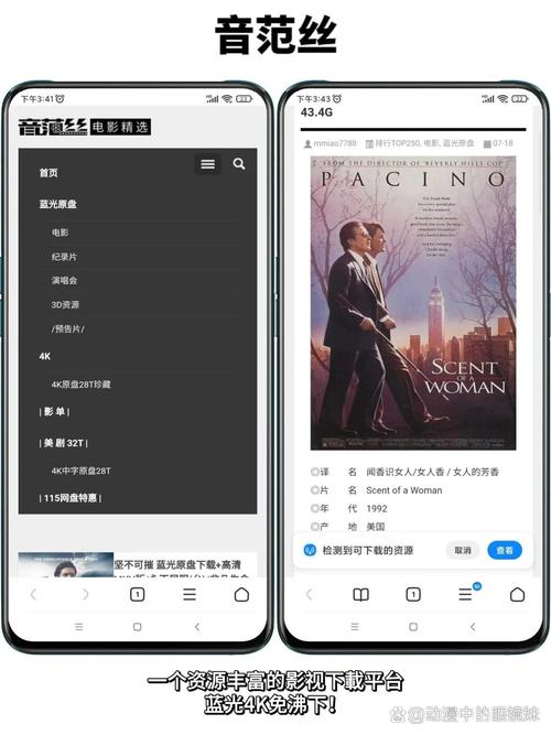 国产黑丝内射在线看的相关介绍