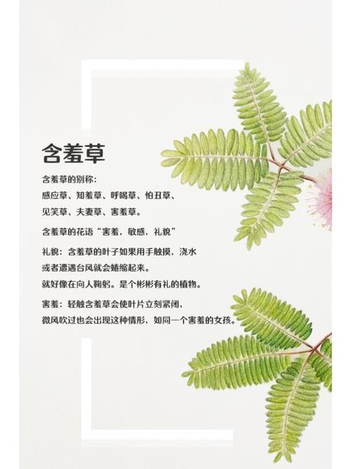 女人小便偏黄是什么原因的相关介绍