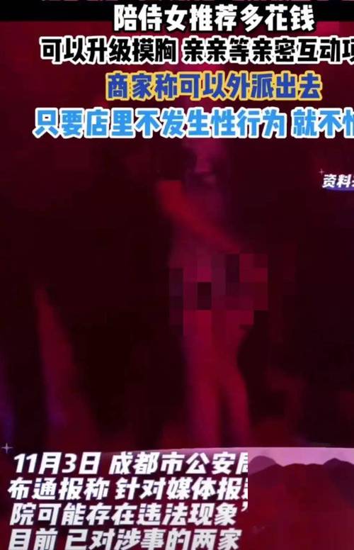亚洲人成影院在线播放的相关介绍