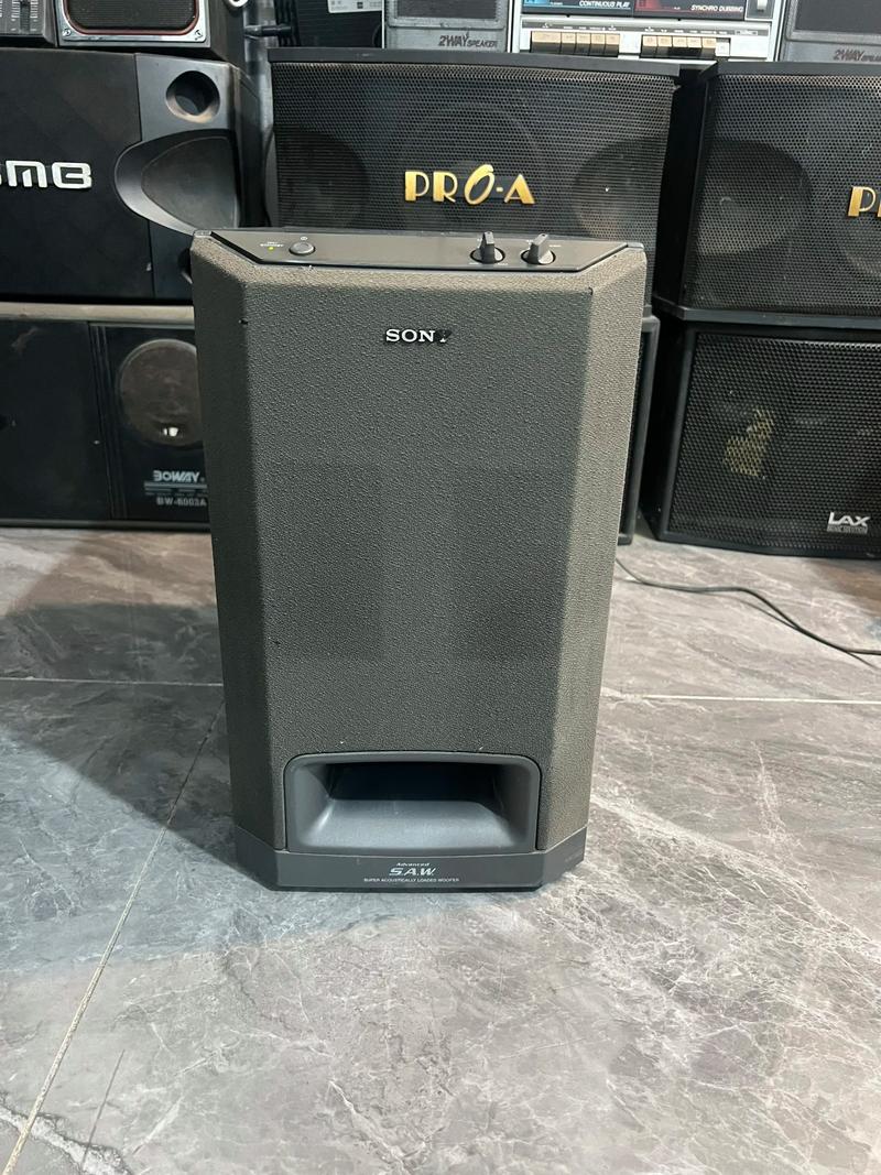 国产精品sm网站的相关介绍