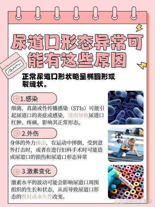 成都私人电影院的相关介绍