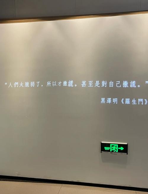看p视频app免费下载的相关介绍