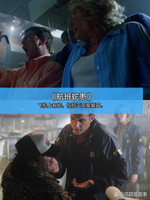 多多屋影院的相关介绍