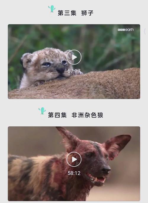 成年人免费视频app下载的相关介绍