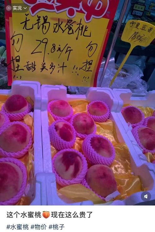 成熟人妻啪啪啪网站的相关介绍