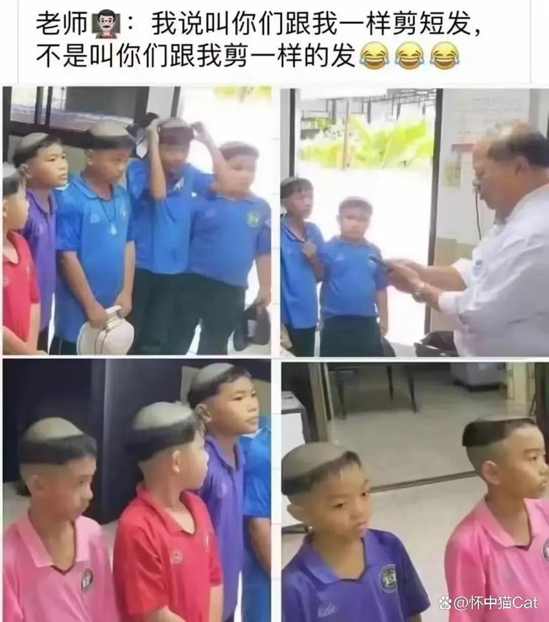 神马影院smyy的相关介绍