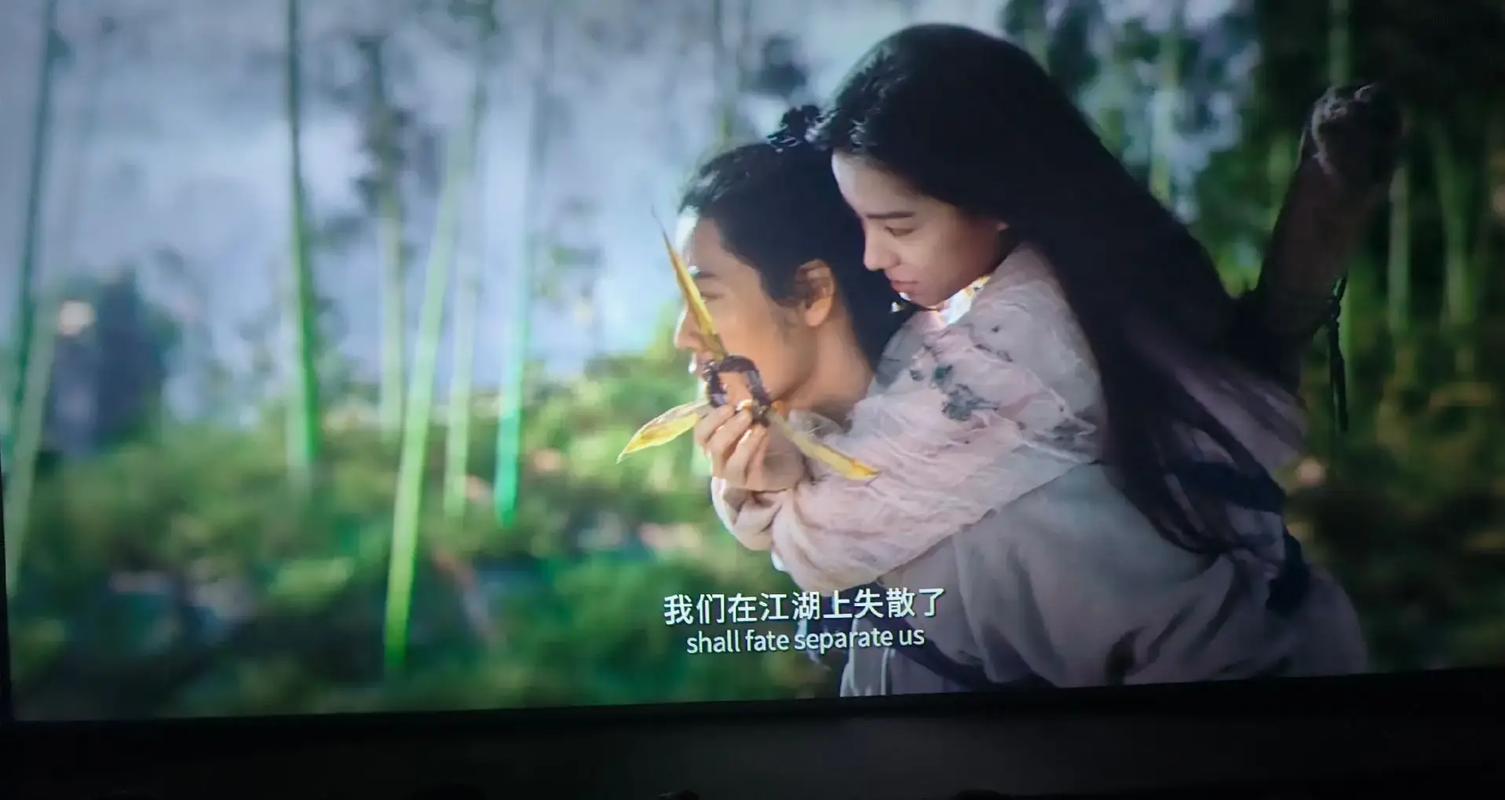 飘花影院手机版的相关介绍