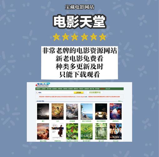 天天射影院的相关介绍