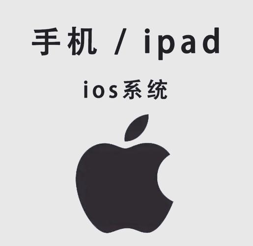 搞个毛片看看的相关介绍