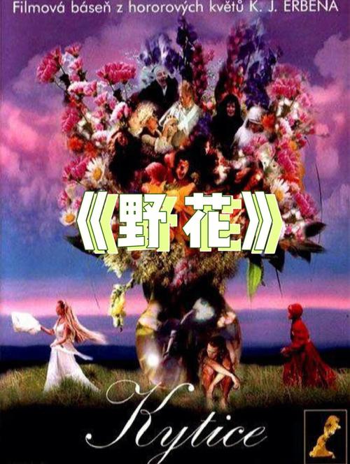 双鸭山电影院的相关介绍