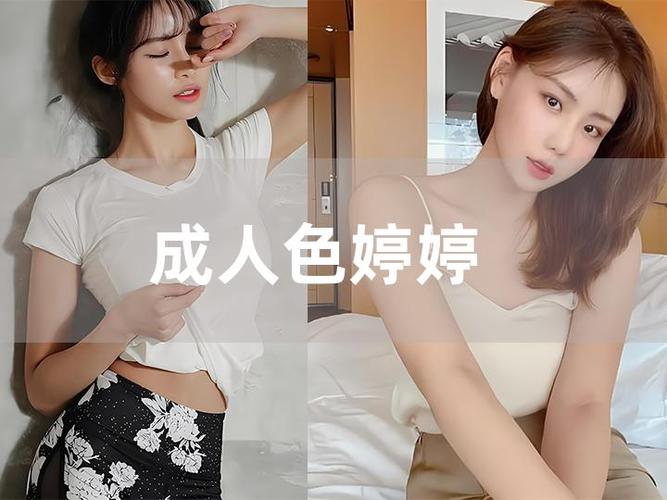 飞空精品影院的相关介绍