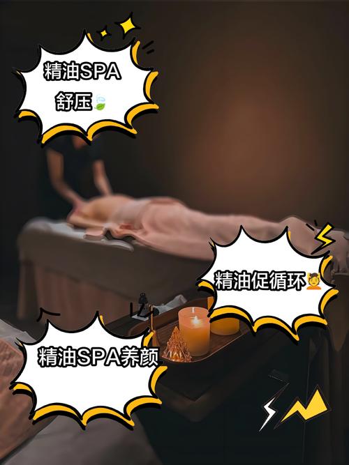 每日影院的相关介绍