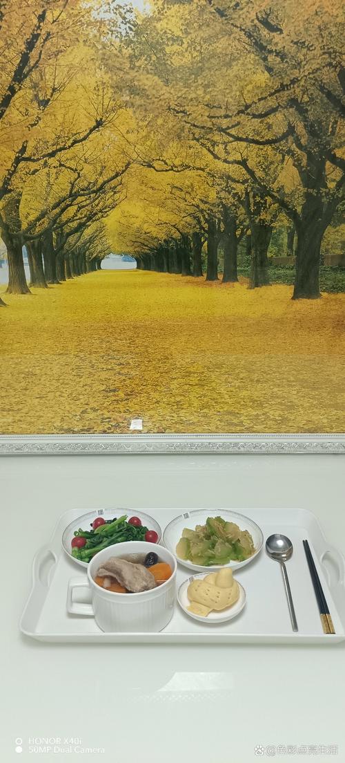 午夜寂寞影院欧美的相关介绍