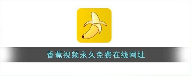 美女av一级免费在线观看的相关介绍