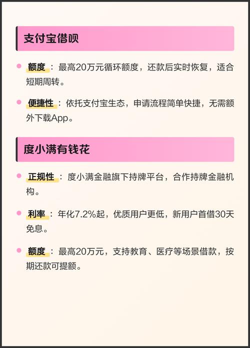 二八影院的相关介绍