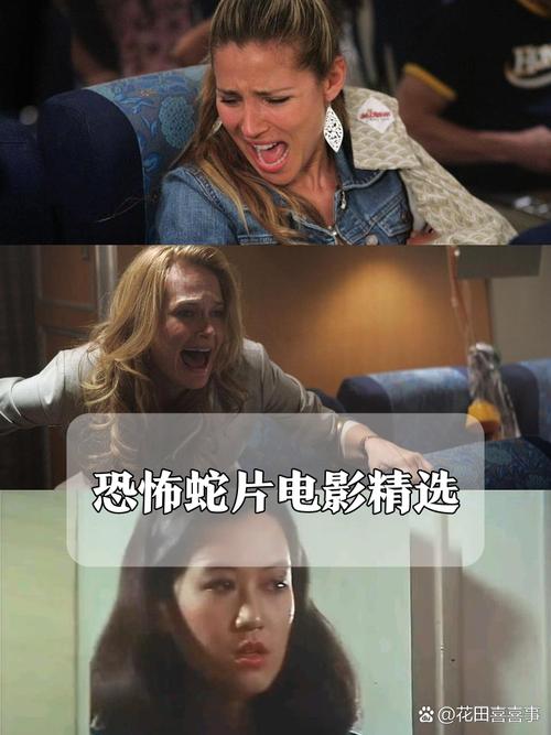 人妻啪啪3的相关介绍