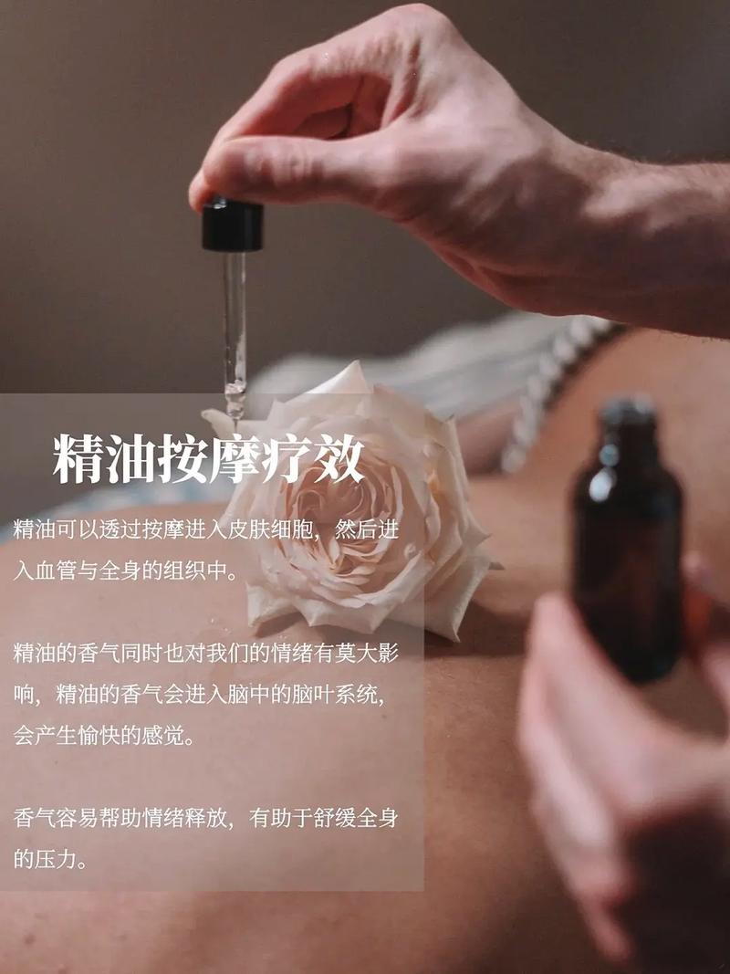 忘忧草最新影院的相关介绍
