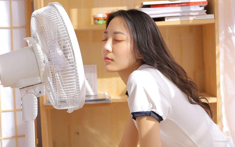 久久久这里才有精品的相关介绍