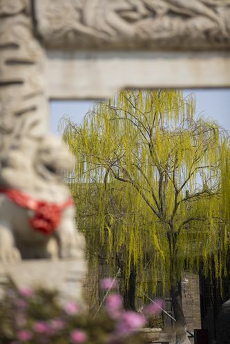 按摩用的精油在哪买的相关介绍