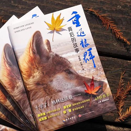 重庆电影院的相关介绍