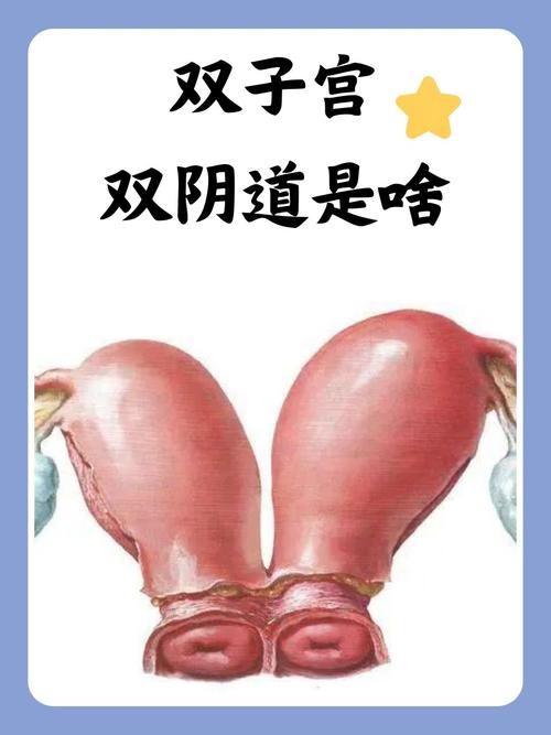 美女老师被强上操哭的相关介绍