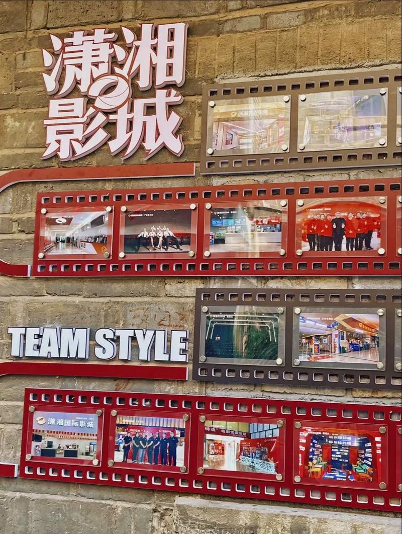 国产精品久久久久久精的相关介绍