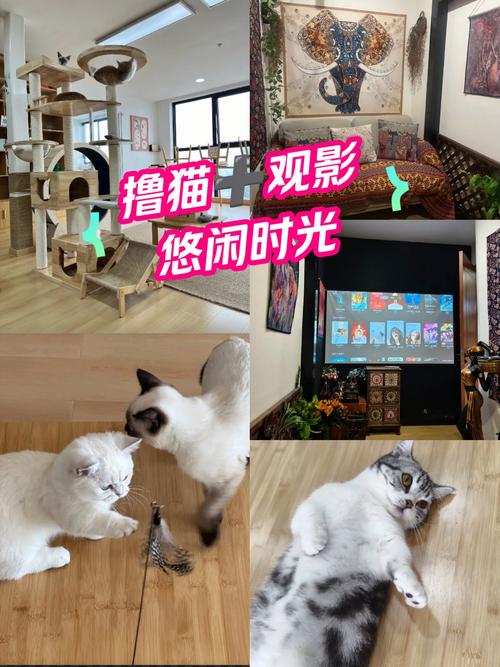 家庭影院论坛的相关介绍