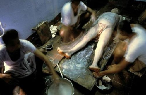 tom影院的相关介绍
