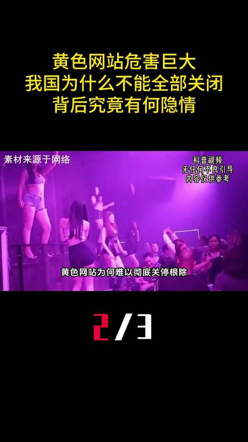 精品va在线观看的相关介绍