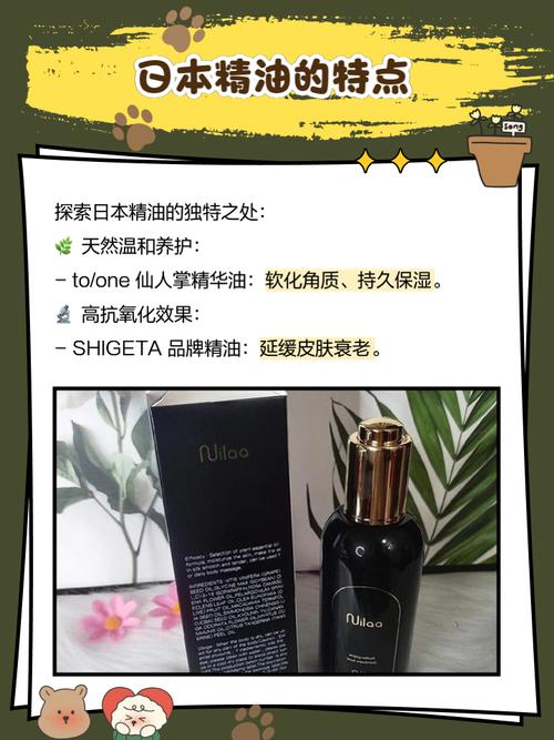 电波影院的相关介绍