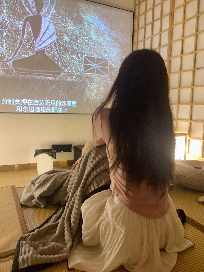 vip影院的相关介绍