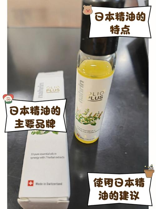 午夜影院普通用户的相关介绍