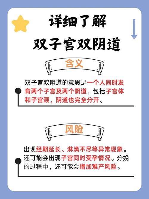 光棍影院手机版免费的相关介绍