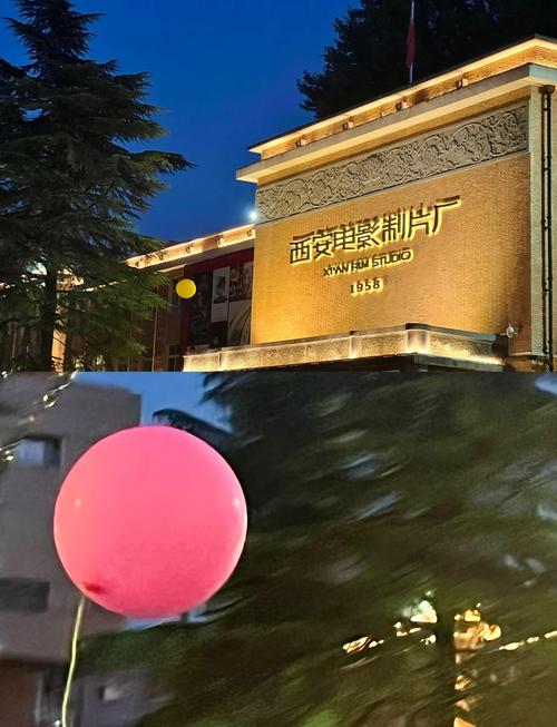 高清快播毛片的相关介绍