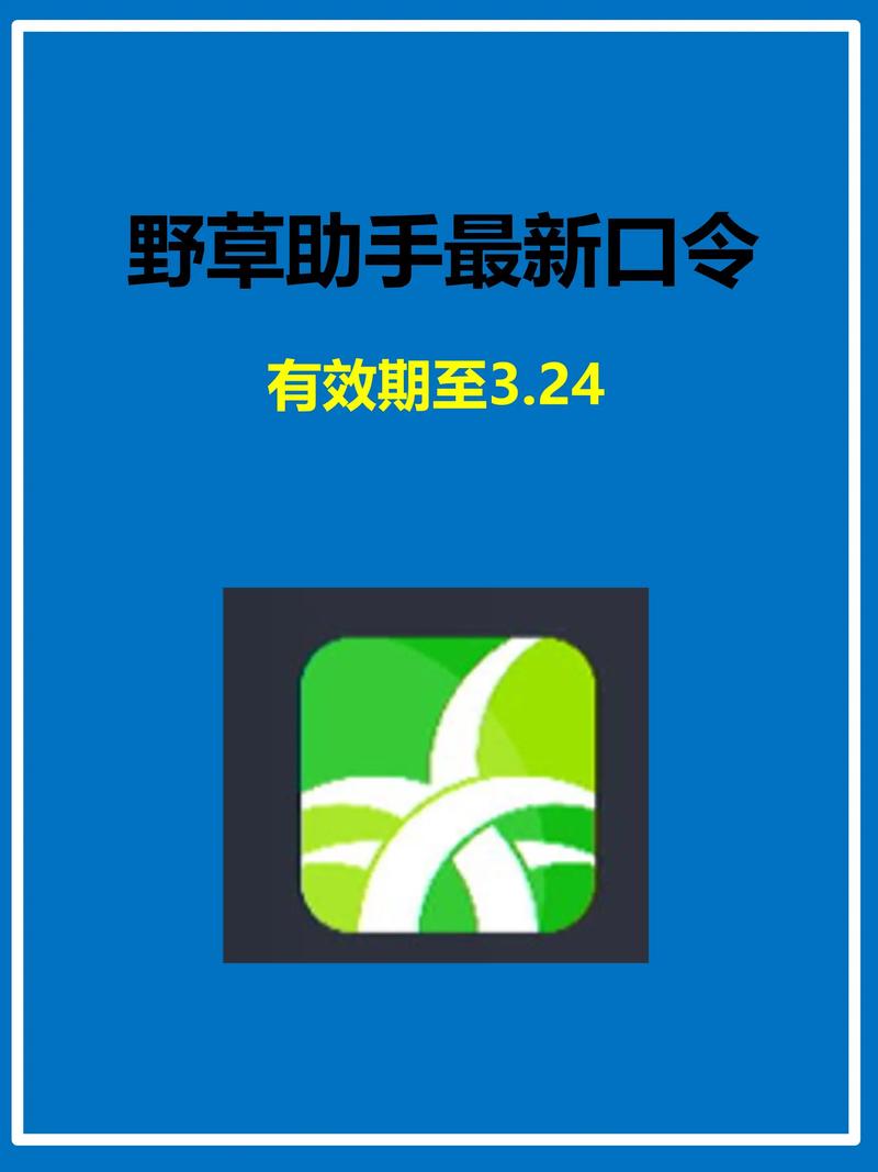 一发影院理伦大全的相关介绍