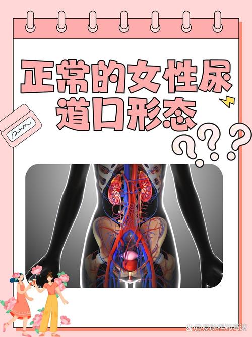 18岁女孩生日花的相关介绍