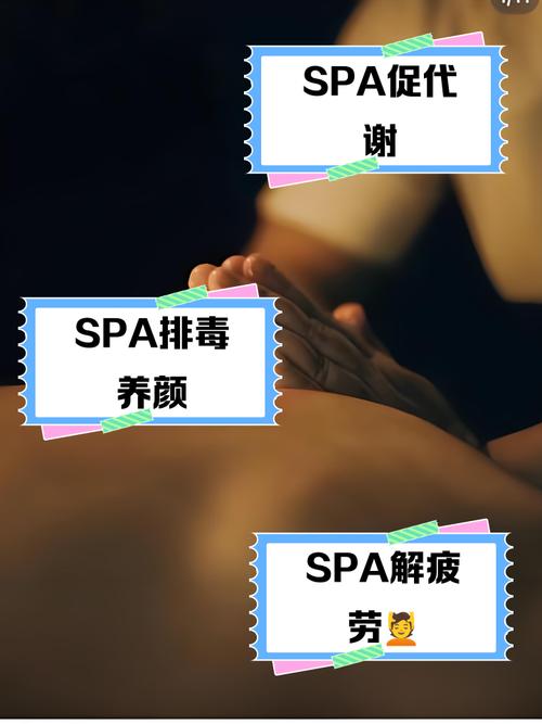 成人av毛片网的相关介绍