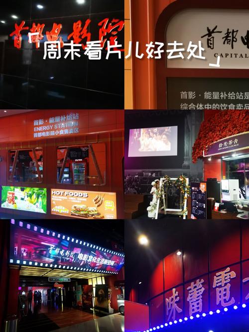 毛片在哪里看的相关介绍