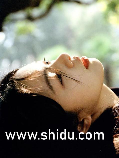 女女同影院的相关介绍