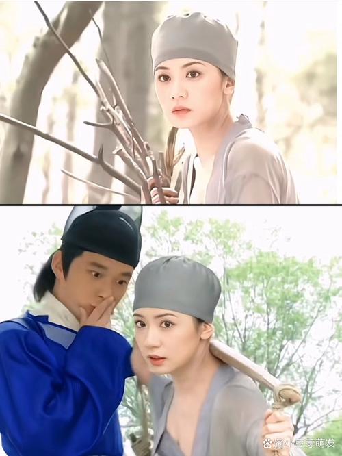琪琪影院在线看2017的相关介绍