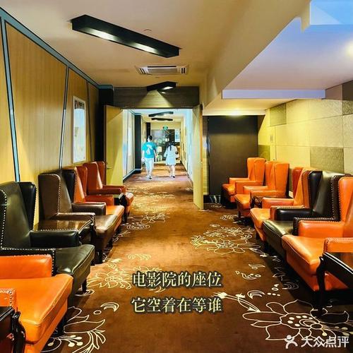 王子免费影院的相关介绍
