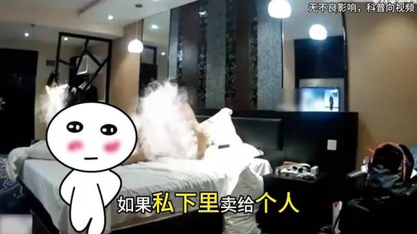 毛片哪里可以看的相关介绍