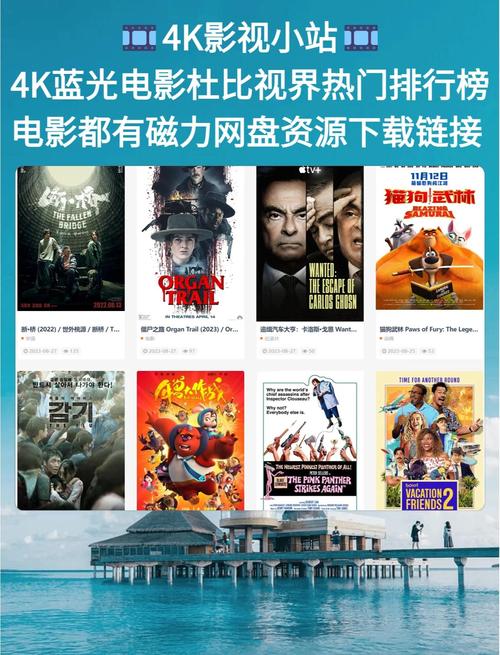 久久精品亚洲男人天堂的相关介绍