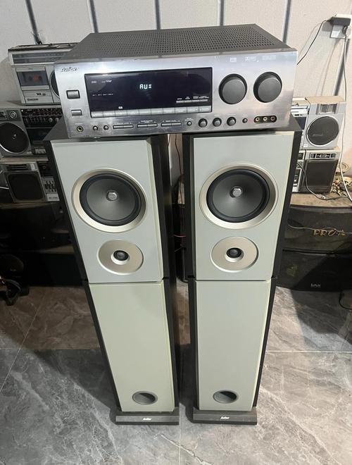 伊人精品久久久久久的相关介绍
